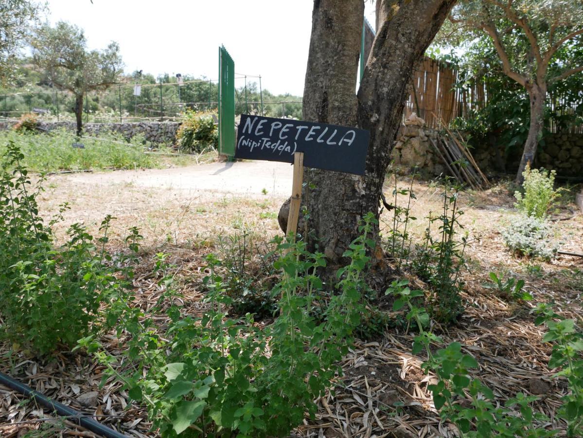 Pantalica Ranch Agriturismo Siciliano Villa Sortino Exterior foto
